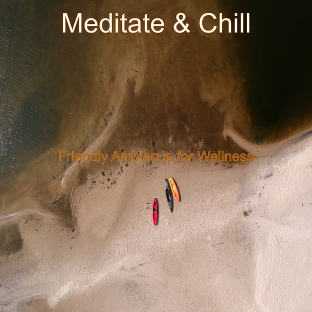 Friendly Ambience for Wellness - Meditate & Chill