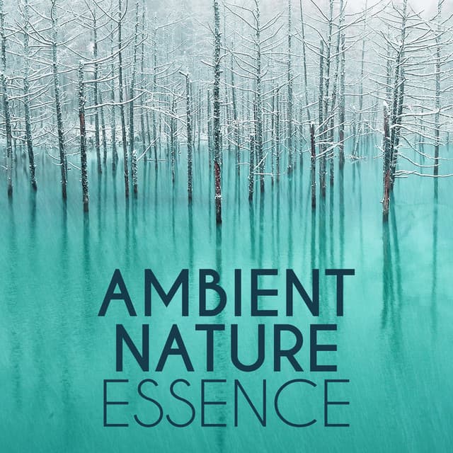 Ambient Nature Essence - Ambient Nature Sounds