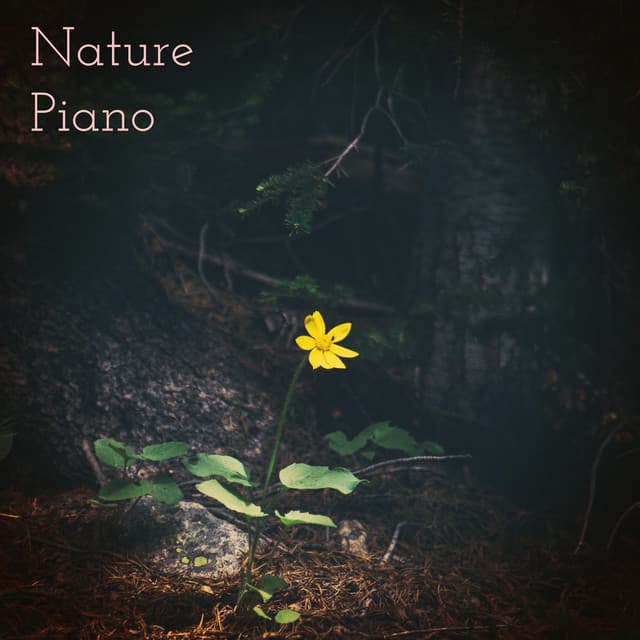 Nature Piano - Piano