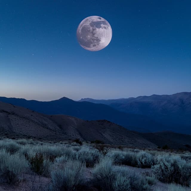 Música Lofi De Ensueño: Vibras Para El Sueño - Ondas suaves