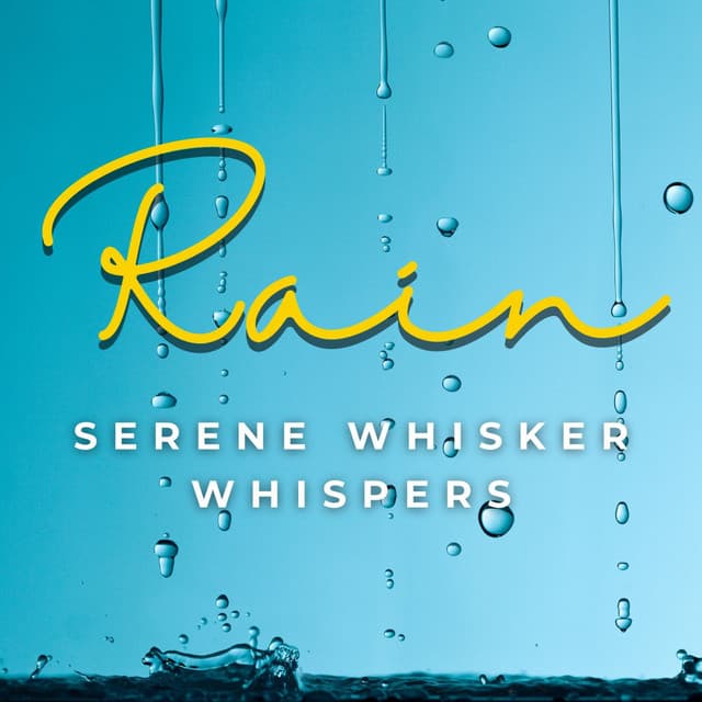 Whiskers and Rain: Feline Serenity - cloudcity