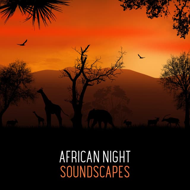 African Night Soundscapes: Relaxing Drum Session, Ethnic Atmosphere, Spiritual Trance - African Wild World