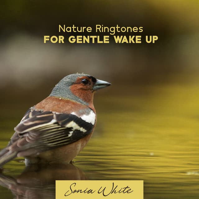 Nature Ringtones for Gentle Wake Up: Calming Water, Singing Birds & Rain - Sonia White