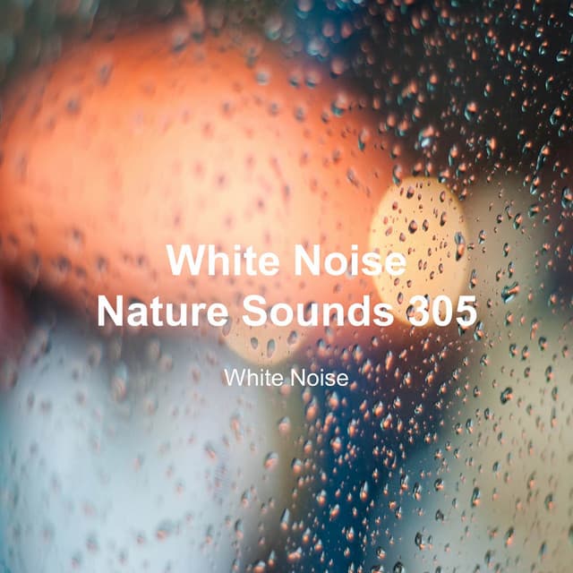 White Noise 305 - White Noise
