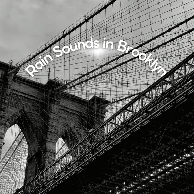 Rain Sounds in Brooklyn - Meditation Rain Sounds