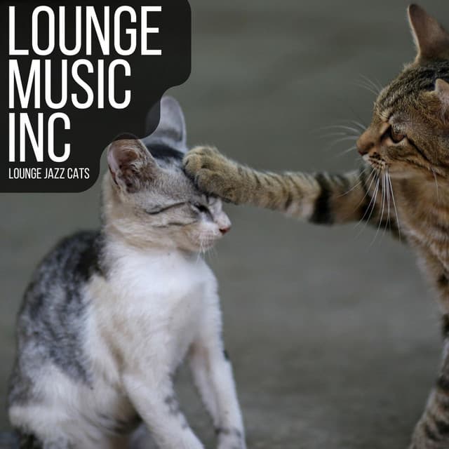 Lounge Jazz Cats - The Lounge Inc