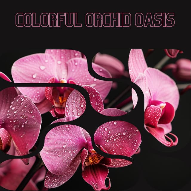 Colorful Orchid Oasis - Floral Health - HerBaLance