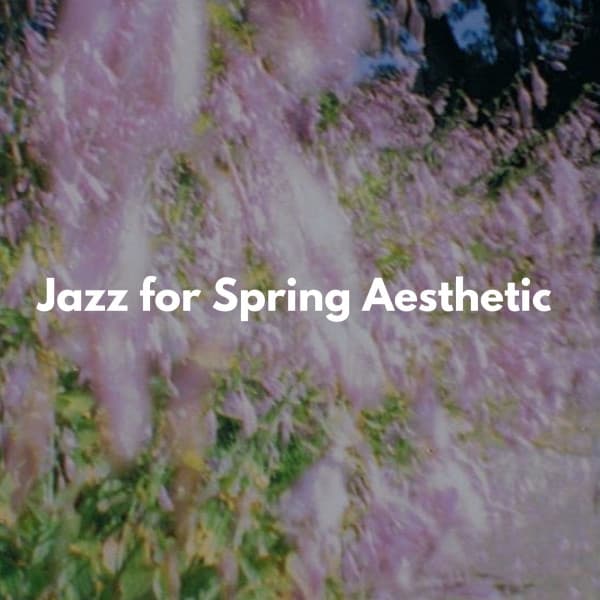 Hit the Road This Spring - Bossa Nova Jazz Lounge