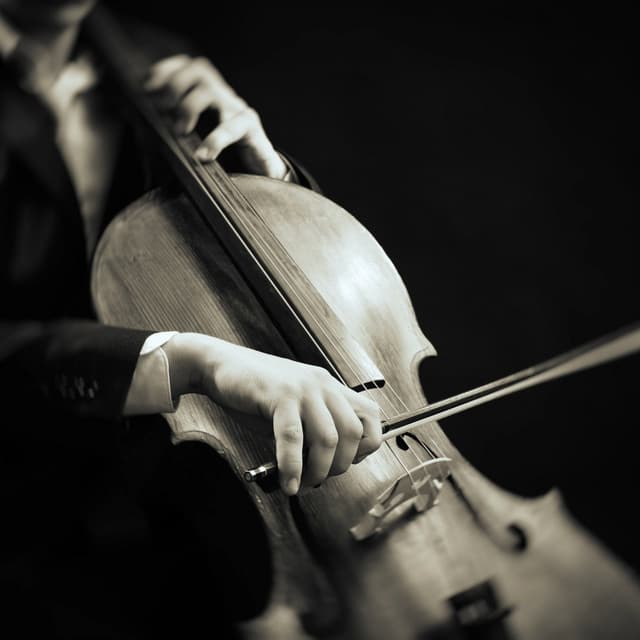 Orchestra Escape: Symphony for Calm - Charles Anderson