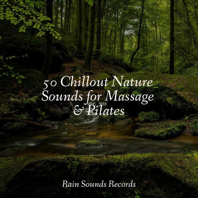 50 Chillout Nature Sounds for Massage & Pilates - Pro Sound Effects Library