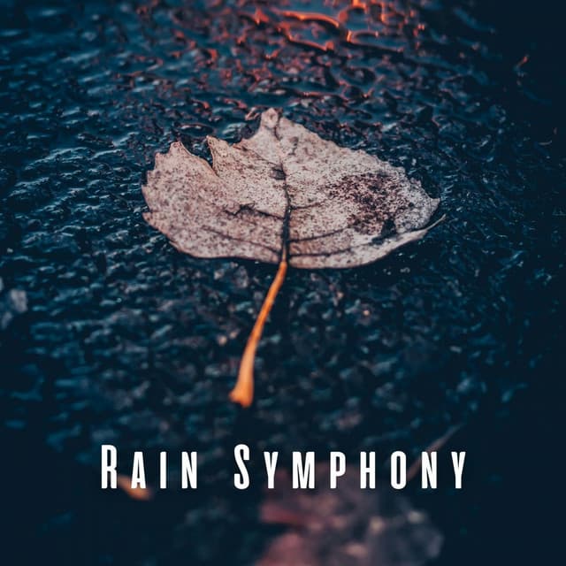 Rain Symphony: Yoga Water Rhythms - Prince Of Rain