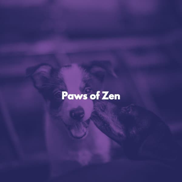 Paws of Zen - Calming Instrumental Jazz Ambiance