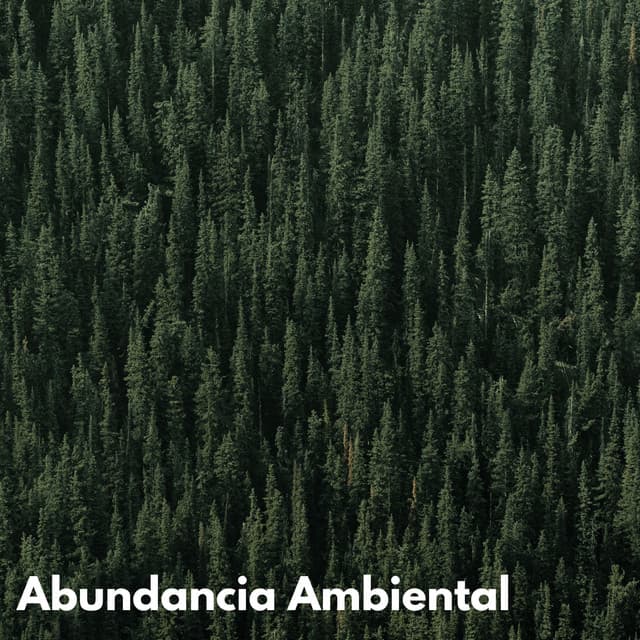Abundancia Ambiental - Ambiente de naturaleza