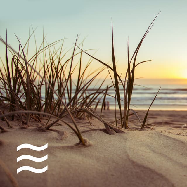 Restful Airplane Cabin Sound Loop - Airplane Cabin Sound for Baby Sleep