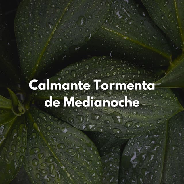 Calmante Tormenta De Medianoche - Trueno relámpago y tormenta de lluvia