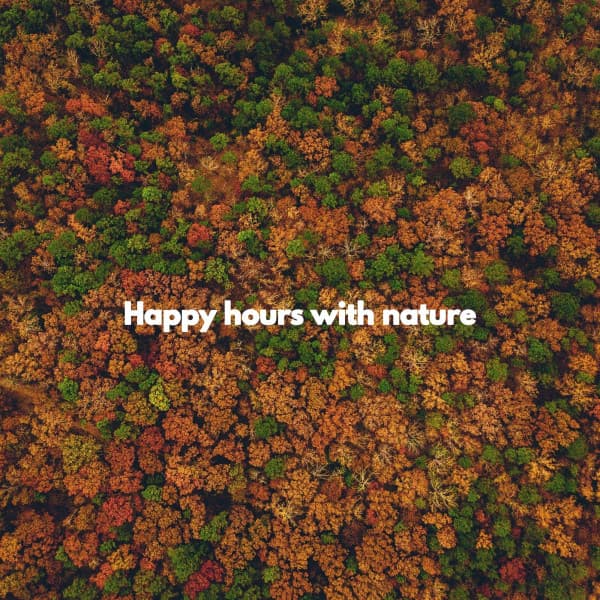 Happy hours with nature - Summer Jazz Relax
