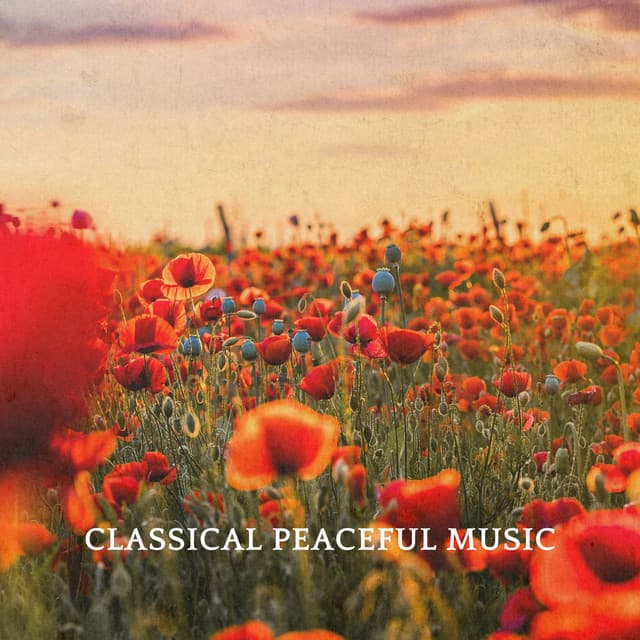 Classical Peaceful Music - Johann Sebastian Bach
