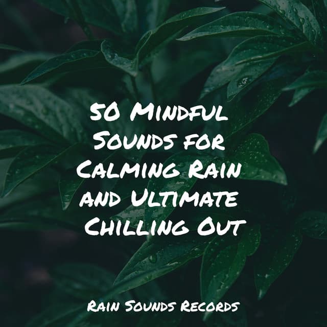50 Mindful Sounds for Calming Rain and Ultimate Chilling Out - Shakuhachi Sakano
