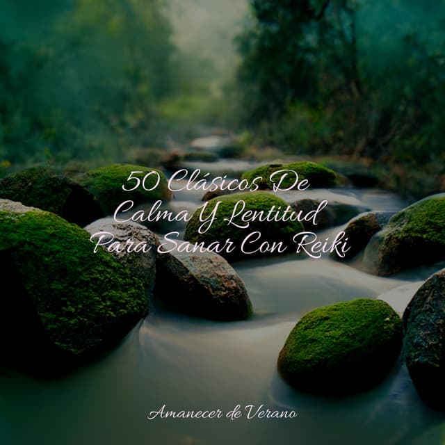 50 Clásicos De Calma Y Lentitud Para Sanar Con Reiki - Academia de Música con Sonidos de la Naturaleza
