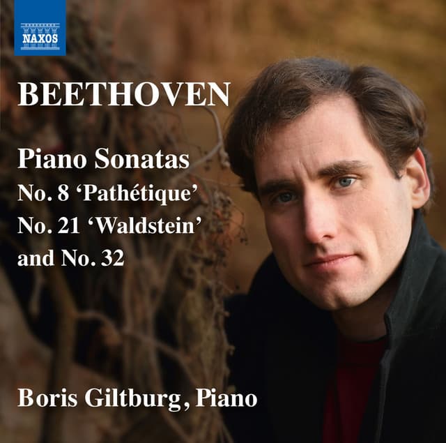 Beethoven: Piano Sonatas Nos. 8, 21 & 32 - Ludwig van Beethoven