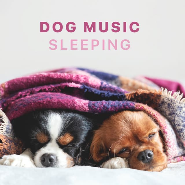 Dog Music - Sleeping Songs for Dogs and Puppies - Sleepy Dogs