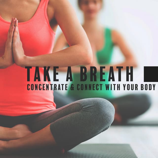 Take a Breath, Concentrate & Connect with Your Body. Yoga Practice - Project!Yoga Meditation