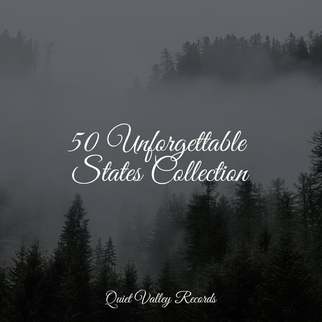 50 Unforgettable States Collection - Organic Nature Sounds