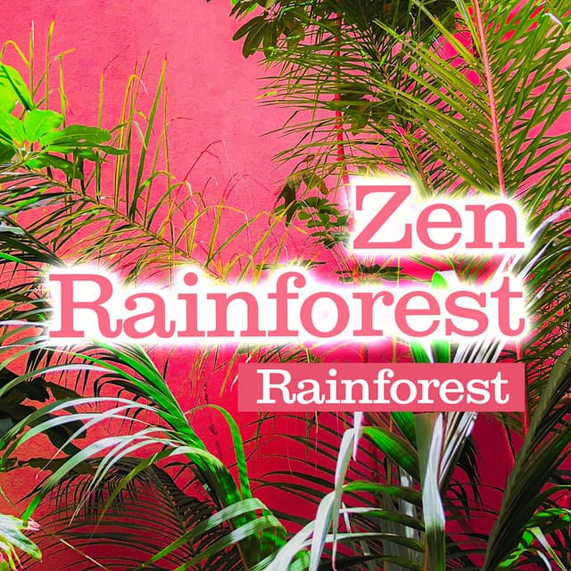 Zen Rainforest - Rainforest