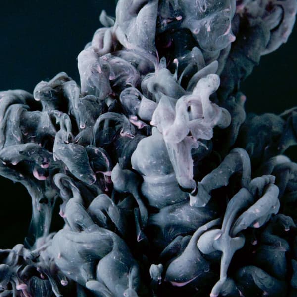 Bgm for At Home and Relaxing - Relaxing Bossa Nova Artisanal