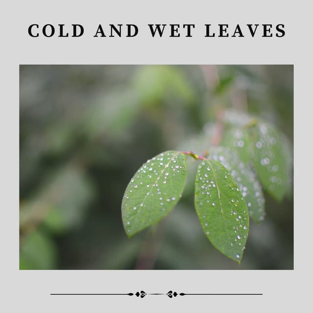 Cold and Wet Leaves - Heavy Rain Sounds