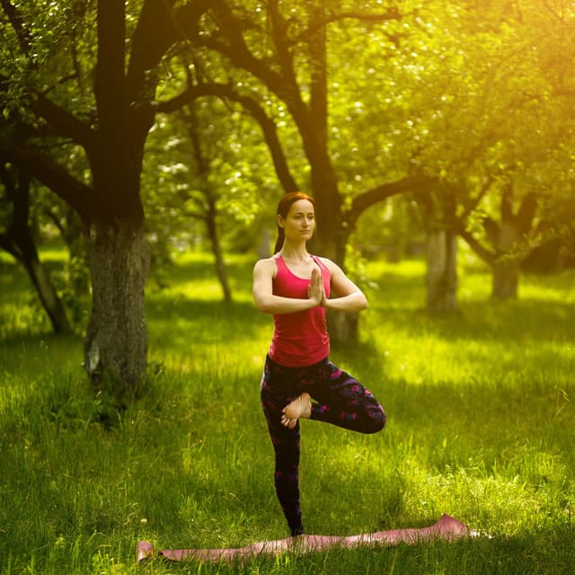 Raindrops on Poses: Binaural Yoga Flow Harmony - The Magical Drops