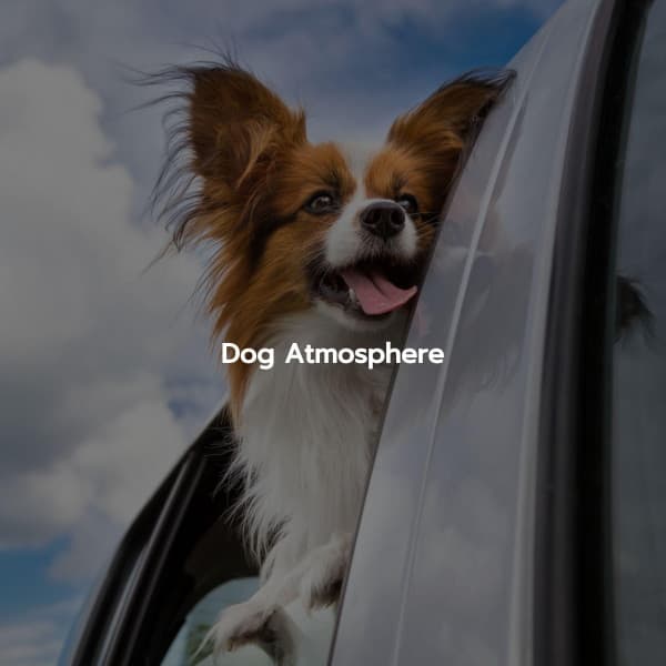 Eccezionale Jazz Rilassante