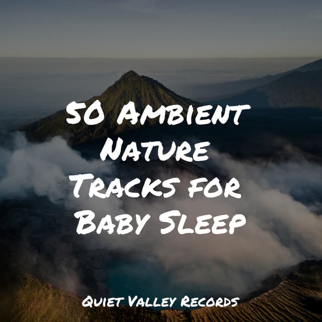 50 Ambient Nature Tracks for Baby Sleep - Meditation Zen