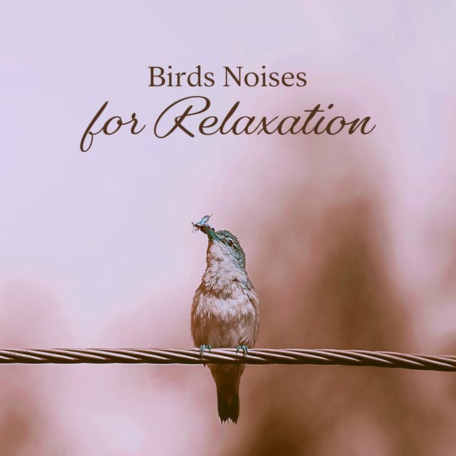 Birds Noises for Relaxation: Gentle Natural Noises That Will Relieve You from Stress and Anxiety - Awesome Nature Sounds Ensemble