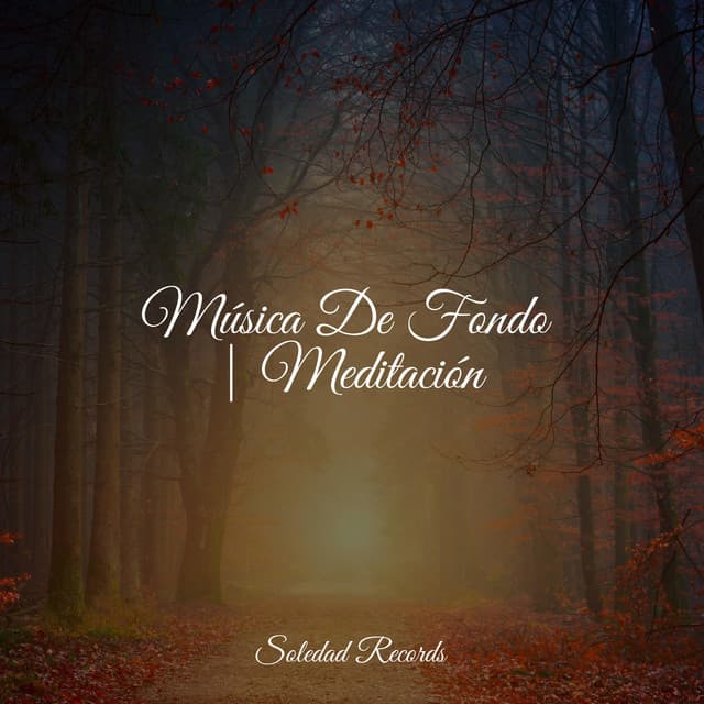Música De Fondo | Meditación - Meditação Yoga