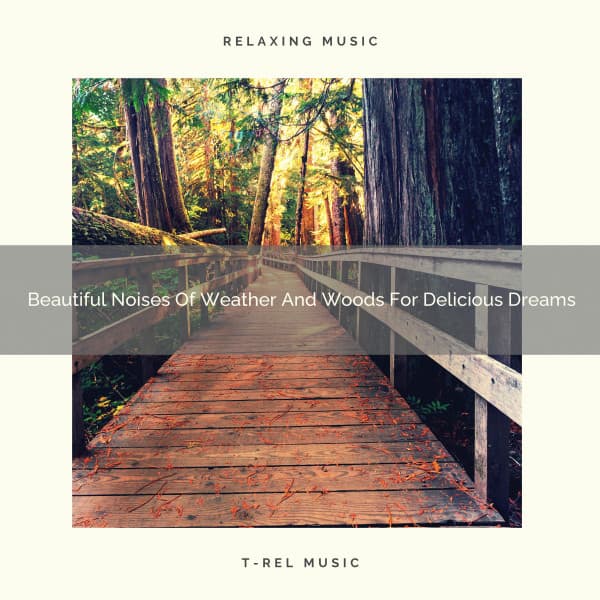 Beautiful Noises Of Weather And Woods For Delicious Dreams - Sleep Dimension