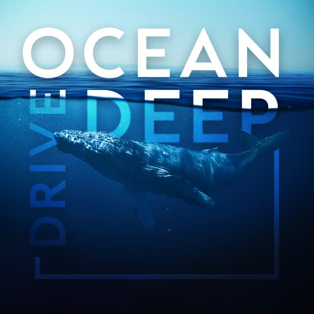 Ocean Deep Dive: Sounds of Whales and Dolphins for Sleep - Chill Out Sounds Collective