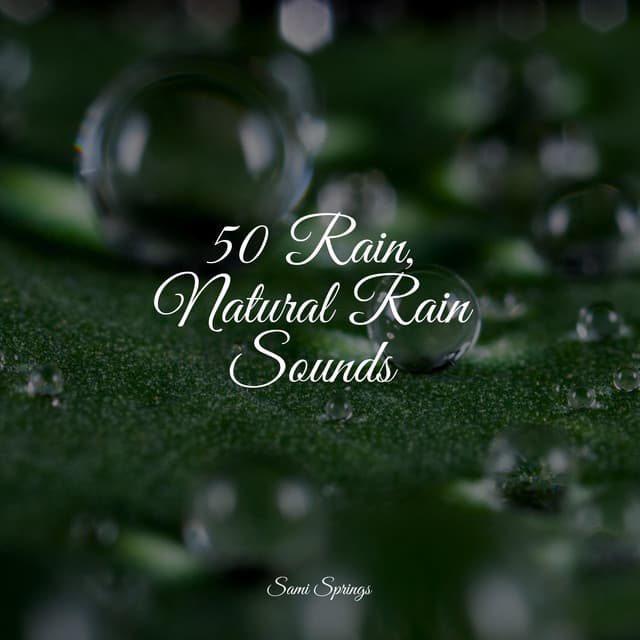 50 Rain, Natural Rain Sounds - Nature Chillout