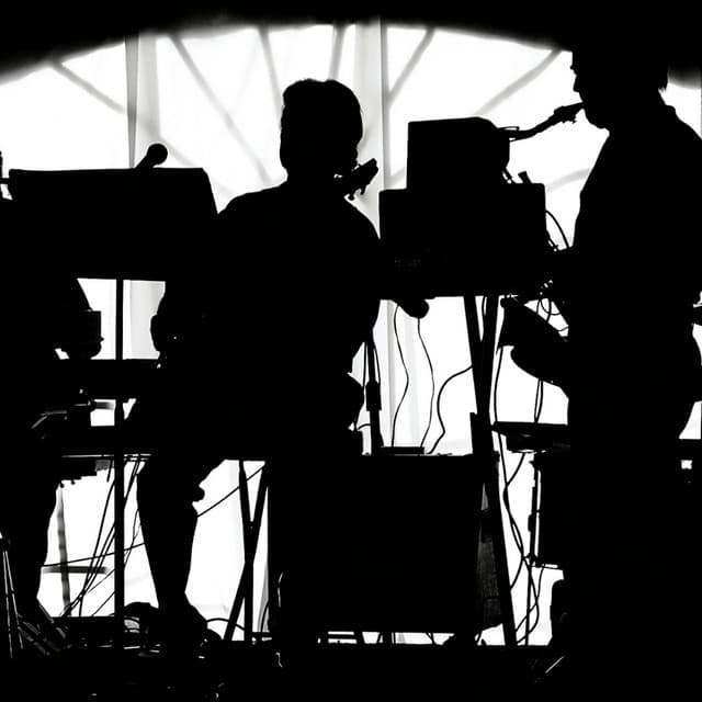 Soothing Cat Soundscapes: Reflective Ambient Music - Calming Spirit