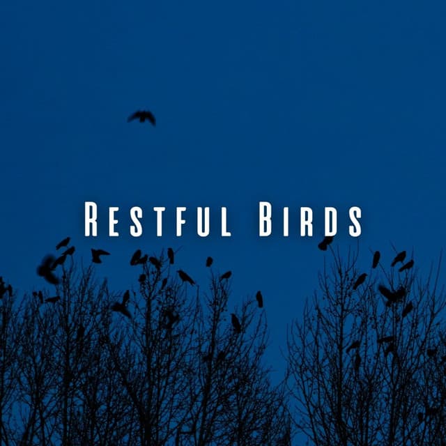 Restful Birds: Heavy Rain and Wind for Deep Sleep - Hurricane Sounds