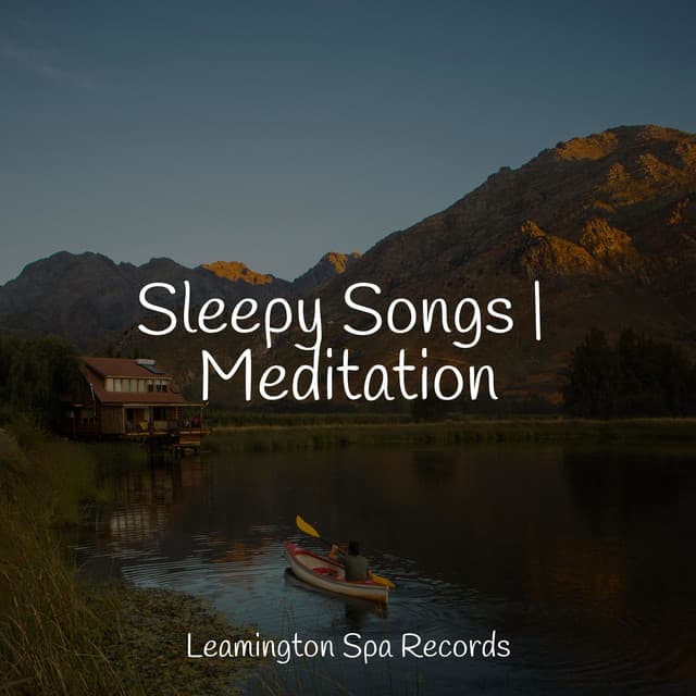 Sleepy Songs | Meditation - Relaxation Sleep Meditation