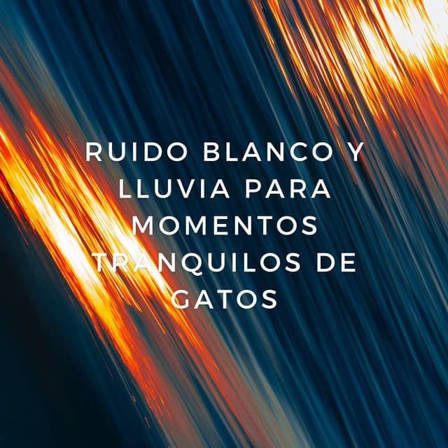 Paraíso Felino: Ruido Blanco Y Lluvia Para Momentos Tranquilos De Gatos - Ruido Blanco Tranquilo