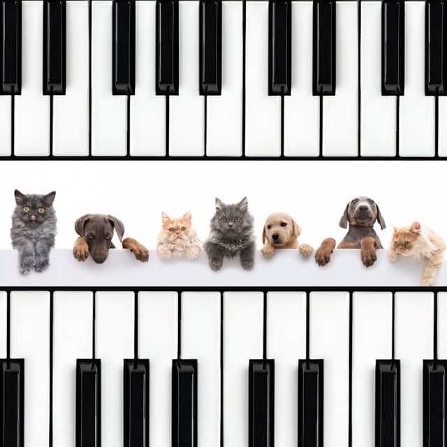 Harmony in Pet's Heart: Reflective Piano Connection - Peaceful Piano Jazz