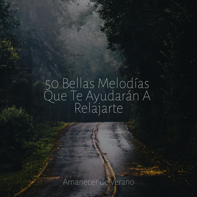 50 Bellas Melodías Que Te Ayudarán A Relajarte - Música a Relajarse