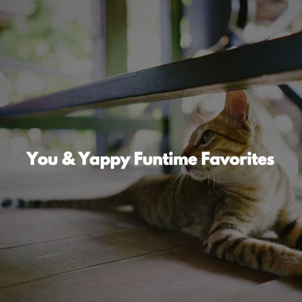 You & Yappy Funtime Favorites - Jazz for Work Playlists