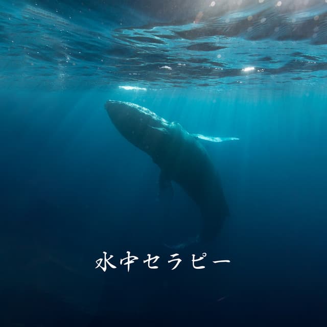 睡眠音楽の巨匠