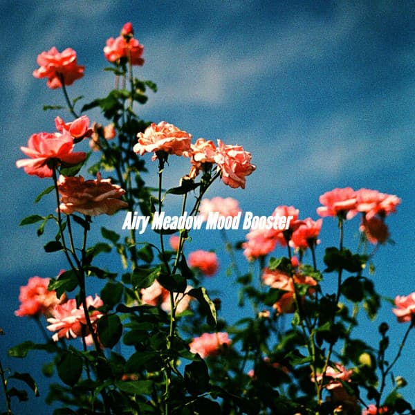 Airy Meadow Mood Booster - Musica de Jazz para Hoteles