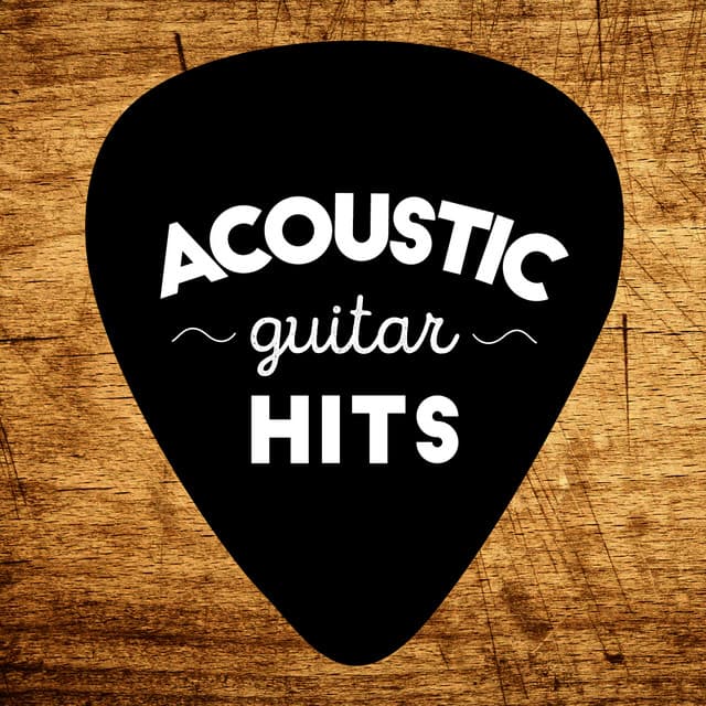 Acoustic Guitar Hits - Acoustic Guitar Hits