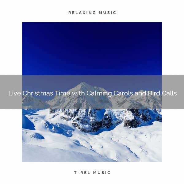 Live Christmas Time with Calming Carols and Bird Calls - The Outdoor Library