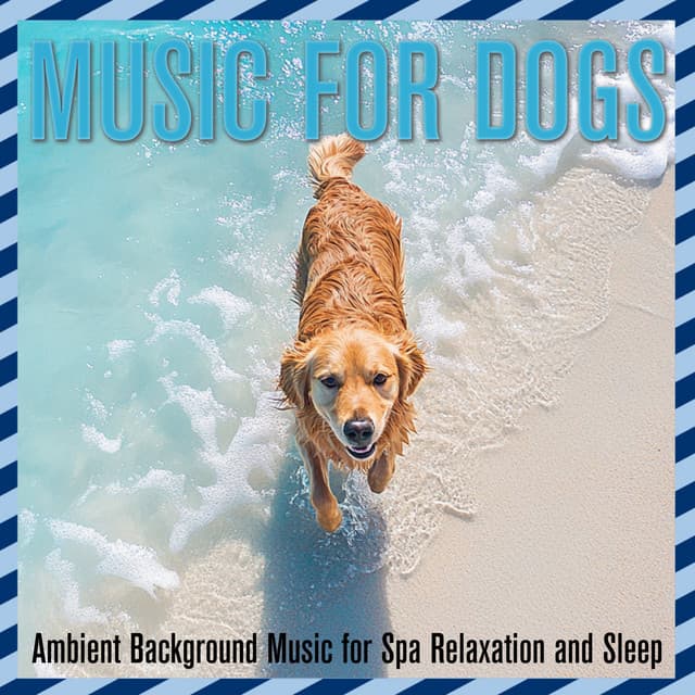 Music for Dogs: Ambient Background Music for Spa Relaxation and Sleep - Dog Music Dreams